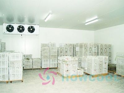 1000m³ Tangerine Cold Storage Solution &Construction Project in Quzhou